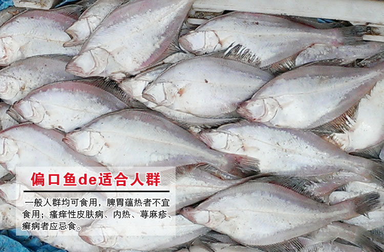 商品名称:岛礼 新鲜大偏口鱼 2条/斤 纯野生 天然海鲜 大连特产【大