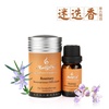 美芙乐迷迭香单方精油