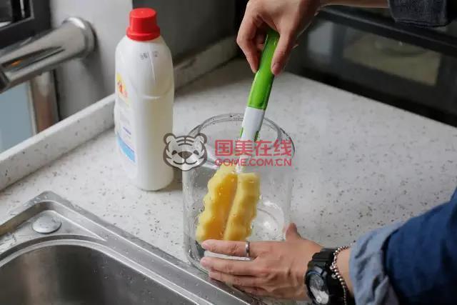 郁金香怎么养护