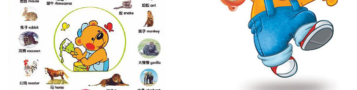 洪恩朗读者《双语趣味挂图精选装》
