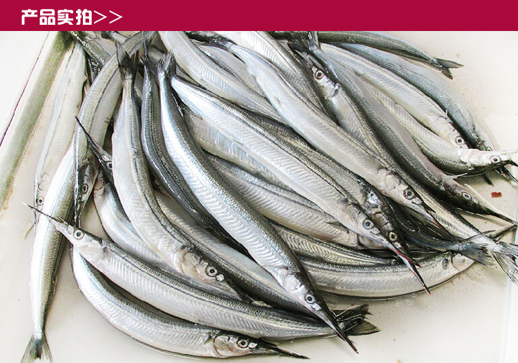 岛礼 针亮鱼 针鱼 大连鲜活海鲜 鱼 1.2斤/条 味道鲜美
