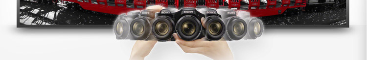 索尼（SONY）DSC-H200数码相机（黑色）