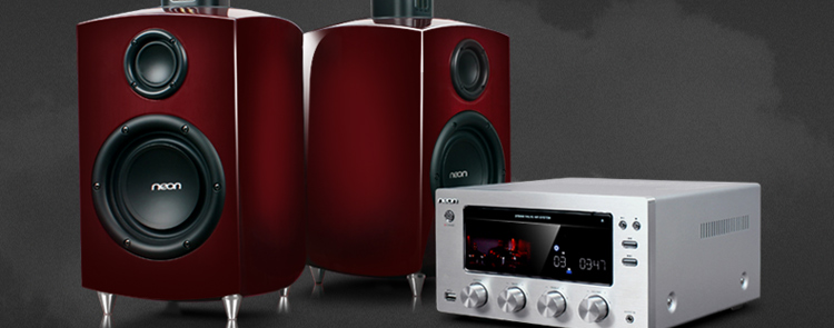 丽扬(neon)dtb980高保真电子管组合音响(主机银色)